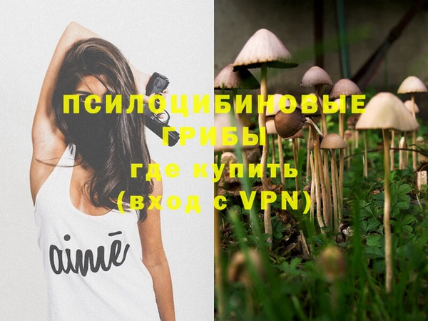 СК Абинск