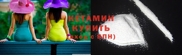 шишки Абаза