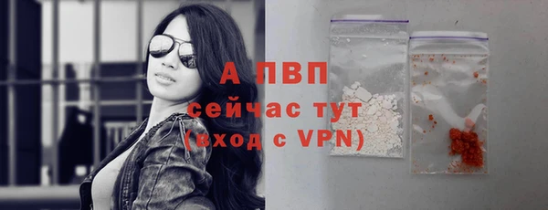 шишки Абаза