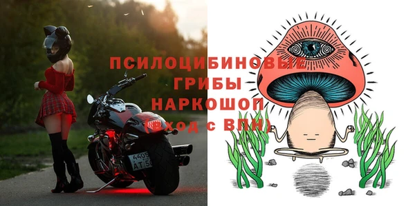 шишки Абаза