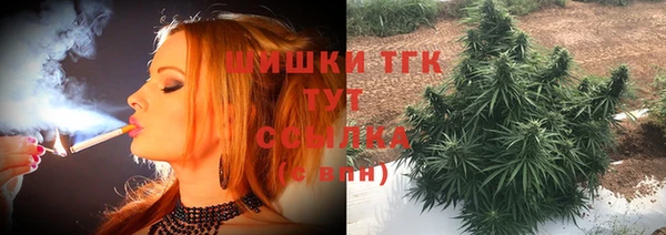 шишки Абаза