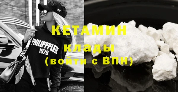 шишки Абаза