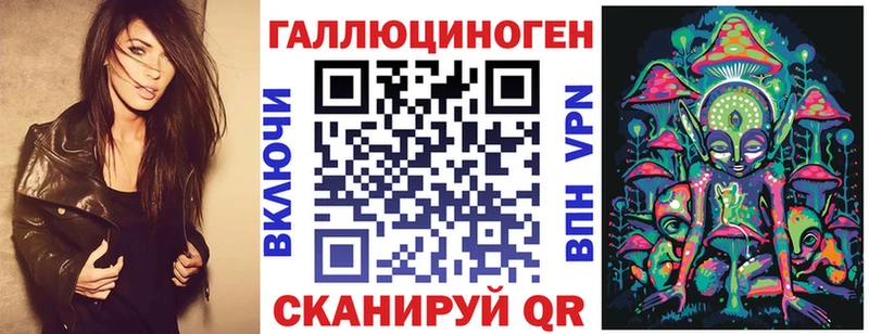 Галлюциногенные грибы Psilocybe Владимир
