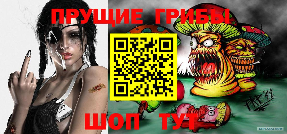 Владимир  купить закладку  Вход с VPN  Галлюциногенные грибы ЛСД  Галлюциногенные грибы Psilocybe 